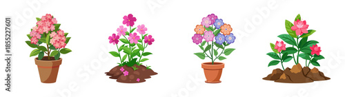 Illustration of potted flowers and plants for home decor and gardening design elements vector art