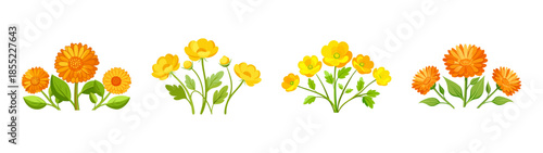 Watercolor vector illustration of yellow and orange flowers bouquet floral arrangement design element