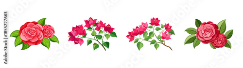 Beautiful floral arrangement featuring camellias and bougainvillea for spring and summer decor