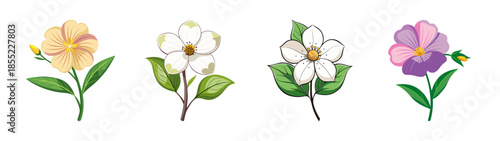 Beautiful floral illustration of assorted flowers including pansies and magnolia blooms art