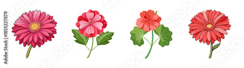 Beautiful floral arrangement of gerbera daisies and other flowers vector illustration art