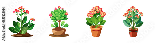 Isometric potted plants illustration vector, decorative house plants collection for interior design