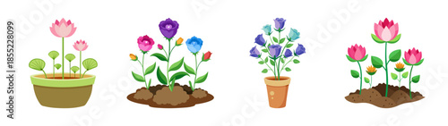 Illustration of potted flowers, colorful flowers, home decor, floral arrangement, flower pots art