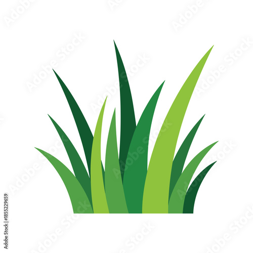 Green grass blades in varying shades of green against a white background nature plant vector illustration.