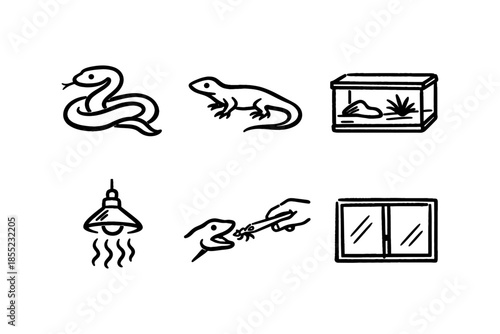 Doodle reptile care icons: snake, lizard, habitat, heat lamp, feeding, enclosure