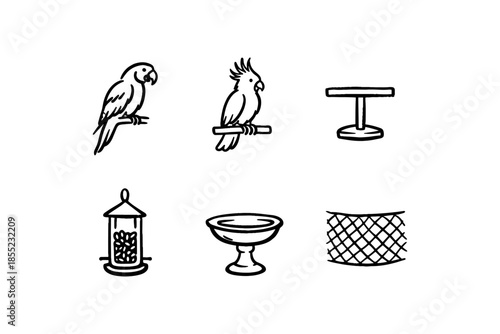 Pet bird accessories: parrots, toys, feeders, and more in hand-drawn style