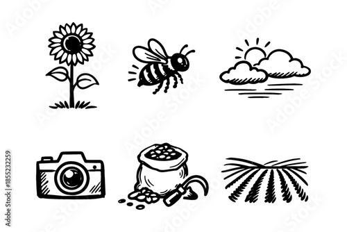 Hand drawn farm icons: sunflower, bee, sun, camera, seeds, field