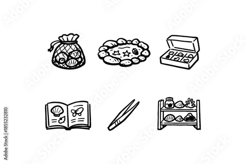 Hand drawn seashell collection icons: nature, craft, and display elements