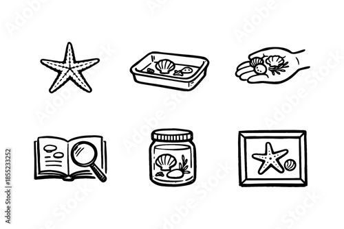Hand drawn beachcombing icons: starfish, shells, and collectibles