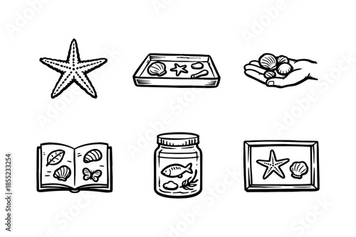 Hand drawn beach collection: starfish, seashells, and marine memorabilia