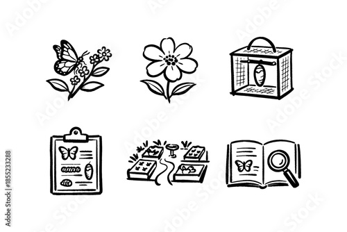 Monochrome butterfly and flower symbols for learning and discovery