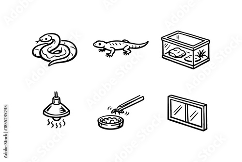 Reptile pet care: snake, lizard, terrarium, lamp, window, food bowl icons