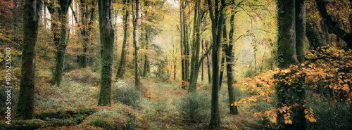 idless autumn panorama cornwall uk 