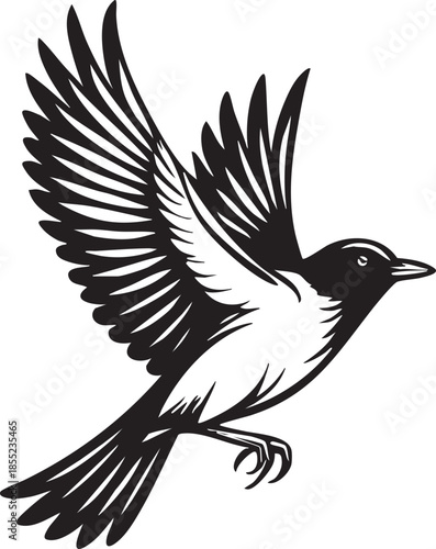 flying bird illustration with spread wings isolated on white background, elegant black and white artwork