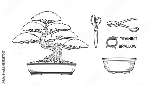 Bonsai care essentials: line art of tree, pruning tools, and pot for gardening