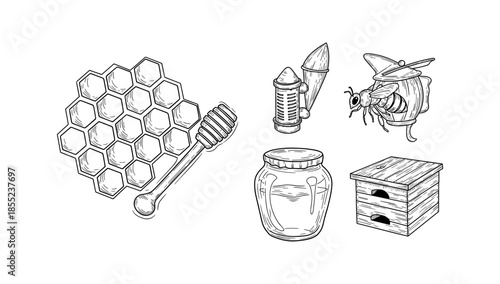 Hand drawn honey elements set with bee, honeycomb, jar, and beekeeping tools