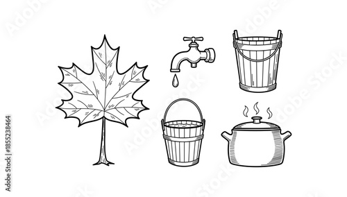 Maple syrup production: hand drawn elements of tapping process