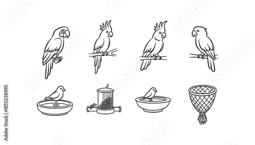 Set of parrot line drawings with feeding accessories and natural poses
