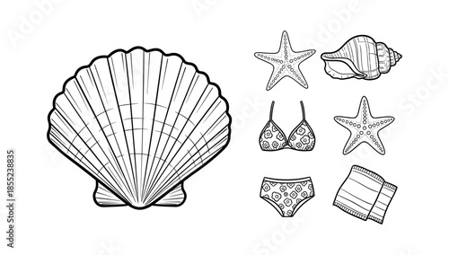 Seashells and beach accessories in monochrome design for summer themes