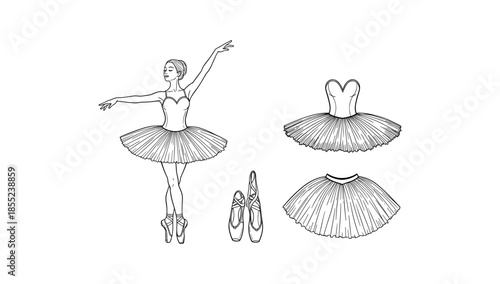 Elegant ballerina and tutu set in detailed outline art