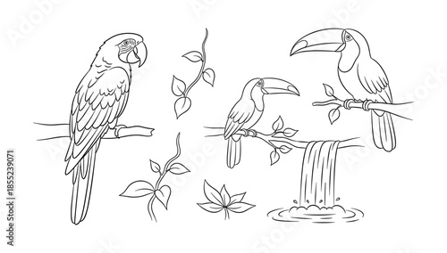 Outline of parrots and toucans perched on branches with leaves and waterfall elements