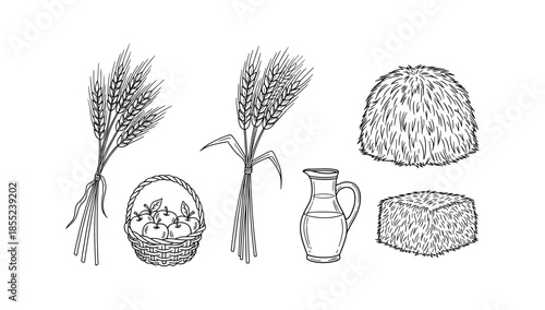 Harvest essentials: hand drawn wheat, apples, pitcher, and hay bales for farm decor