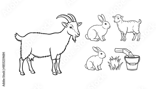 Farm animals drawing: goat, bunny, lamb, and milk bucket outline
