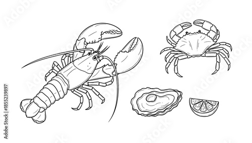 Outline of lobster, crab, oyster, and lemon slice for seafood designs
