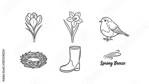 Spring elements: flowers, birds, and nature in linear style