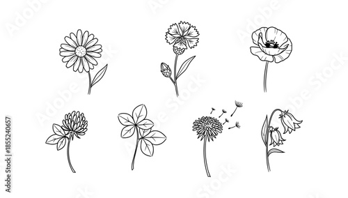 Beautiful black and white botanical flower outlines collection