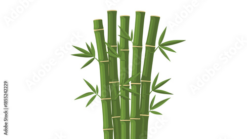 Artfully arranged cluster of vibrant green bamboo stalks with delicate leaves, symbolizing tranquility, strength, nature, and growth in an oriental setting.