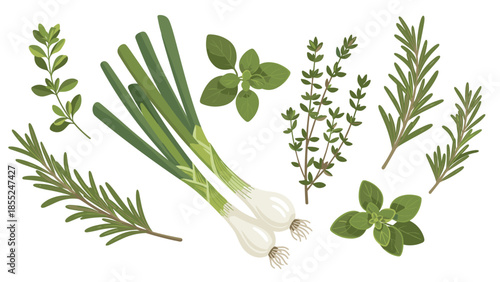 Assortment of fresh culinary herbs including vibrant green onions, rosemary sprigs, thyme branches, and oregano leaves, artfully arranged against a clean white background, perfect for cooking.