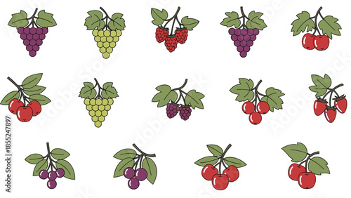 Diverse collection of fresh fruit bunches and sprigs, including grapes, raspberries, cherries, and strawberries, each depicted with vibrant colors and leafy stems, ideal for healthy eating concepts.