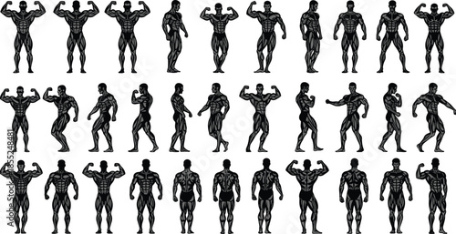 Muscular bodybuilding poses collection, male fitness athletes showing anatomy strength flexing muscles, gym workout illustration set isolated on white background