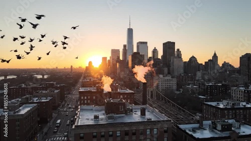 Flock of Pigeons Takes Flight Over New York City Skyline at Sunset Rooftop View