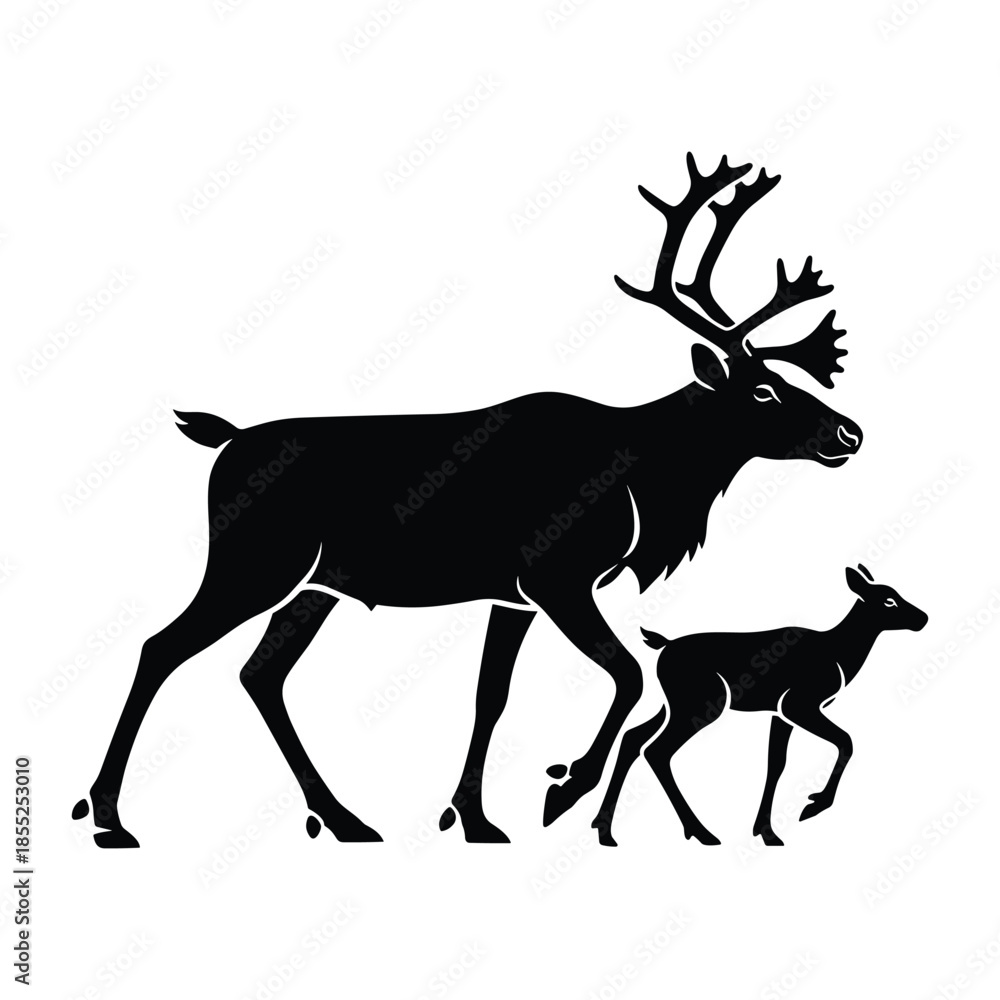 Fototapeta premium Silhouette of a reindeer with its calf walking