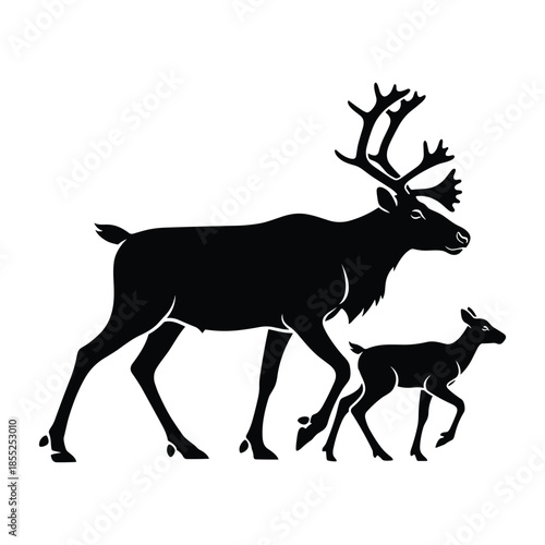 Silhouette of a reindeer with its calf walking