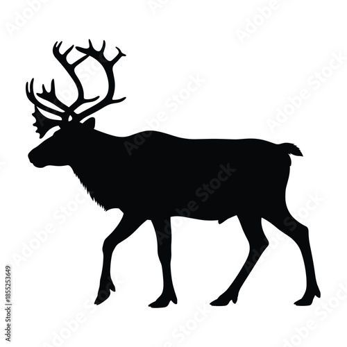 Silhouette of a majestic reindeer with large antlers walking gracefully