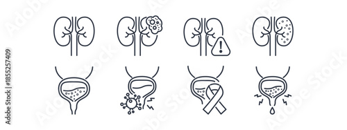 Urology icon set featuring kidney and bladder disease symbols. Medical outline graphics for renal health, urinary tract infections, and cancer awareness materials.