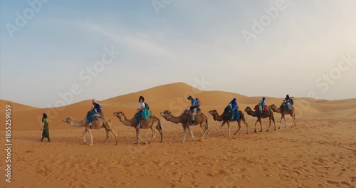 Sahara, Morocco - Apr 06, 2025: Tourists riding camels in the golden sands of a desert under a blue sky