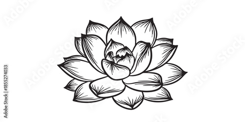 
Succulent plant outline icon vector