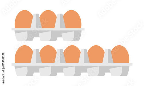 Fresh Brown Eggs in Carton Tray Vector