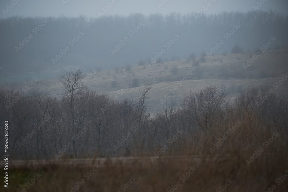 Fototapeta premium Beautiful winter landscape in Ukraine