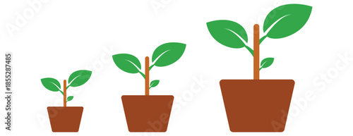 Plant growth stages in brown pots, gardening and nature development vector illustrations
