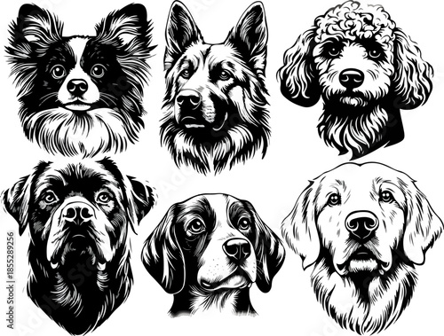 Minimalist black and white contour illustration of dog faces. Clean line art suitable for logos, tattoos, coloring pages, prints, stickers, and pet-related designs.