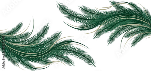 Elegant green peacock feathers on white background