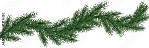 Fresh green pine tree branches on white background