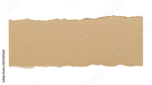 Torn paper strip. Brown paper texture. Rough edge paper.