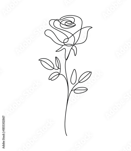Elegant Rose Line Art Floral Design Botanical Sketch Vector Illustration