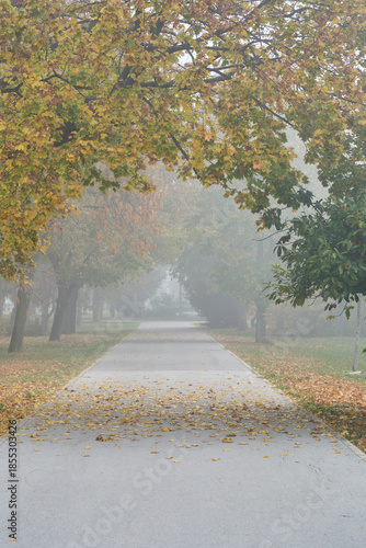 Foggy pathway through an autumn park with falling leaves